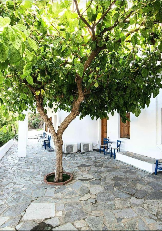 Mavrikou Helen Apartments Skyros Exterior photo